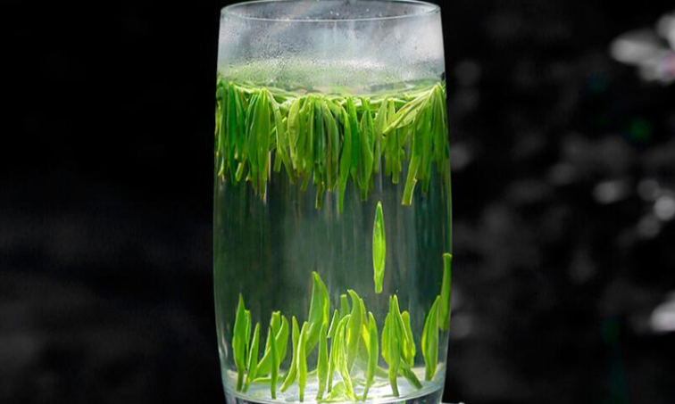 茶叶冲泡之后，为什么会立起来