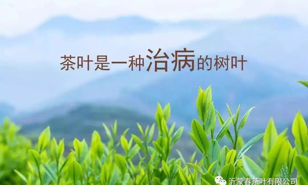 央视再次强调：茶叶是一种治病的树叶！