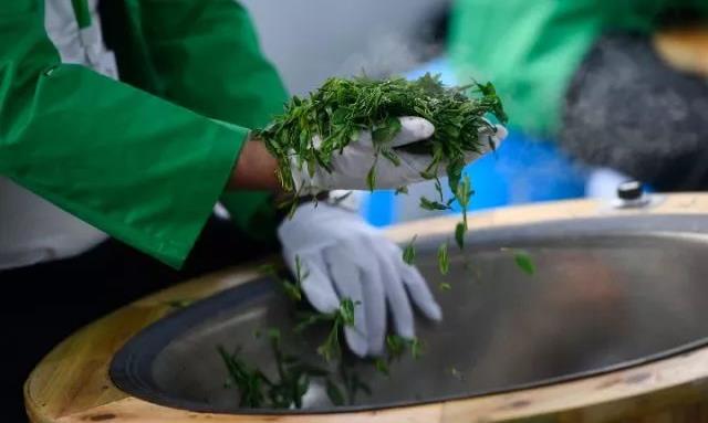 北大教授团队研究发现：长期饮茶的女性骨密度更高