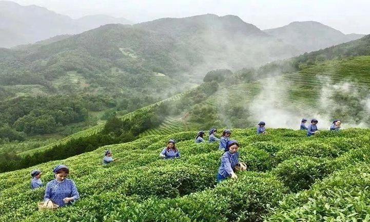 品茶的心理效应：愉悦感、满足感与幸福感的产生与影响