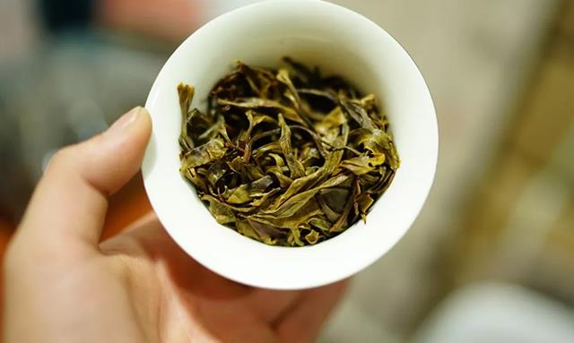 洪鹄之志|老洪漫谈普洱茶养生之道