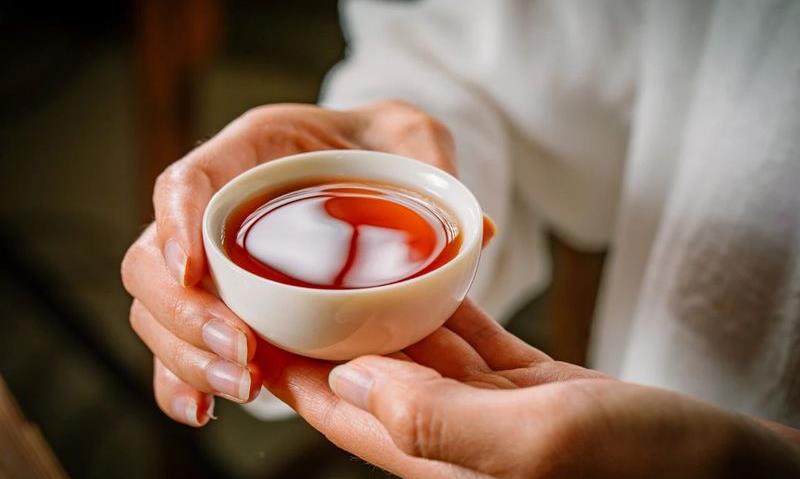茶色素,普洱熟茶的健康密码