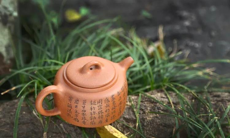 绿茶、乌龙茶、红茶、普洱茶功效大