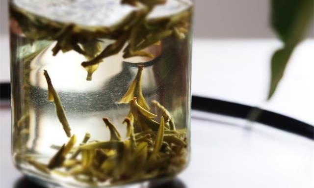 女生为什么要少喝绿茶