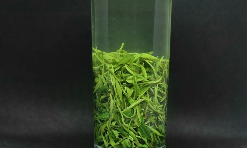 常喝信阳毛尖茶有什么好处