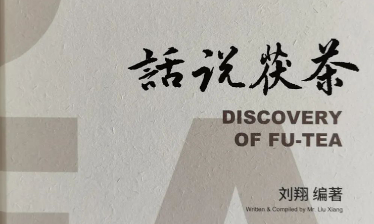 茯茶养生保健解读（六）长期面对屏幕的人，建议多喝茯茶