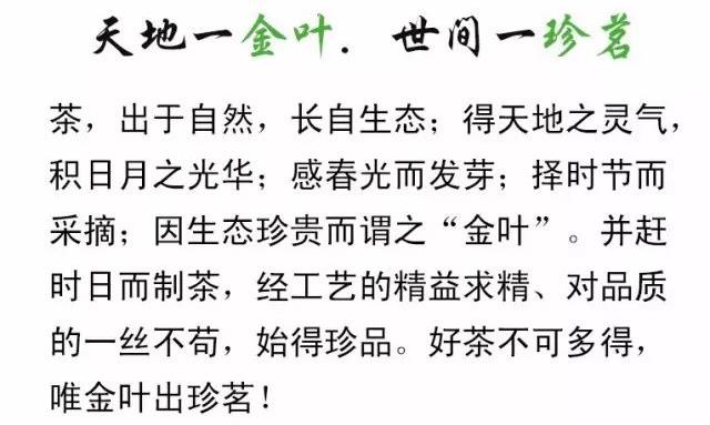 白茶的保健功效