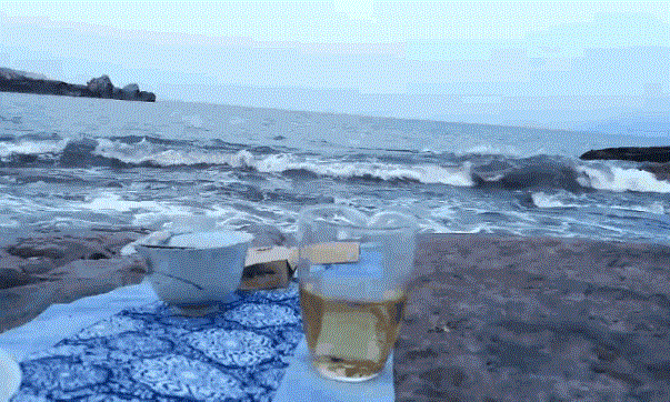 【绿雪芽】抗雾霾，首选喝白茶！