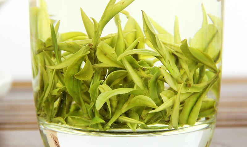 安吉白茶的饮用禁忌