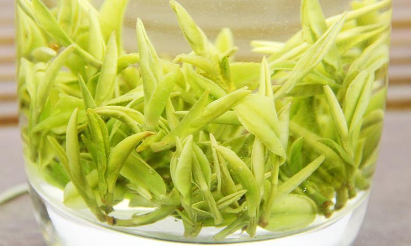 夏天喝安吉白茶的好处