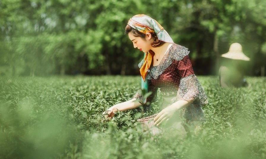 【茶知识】春天喝茶的15个好处
