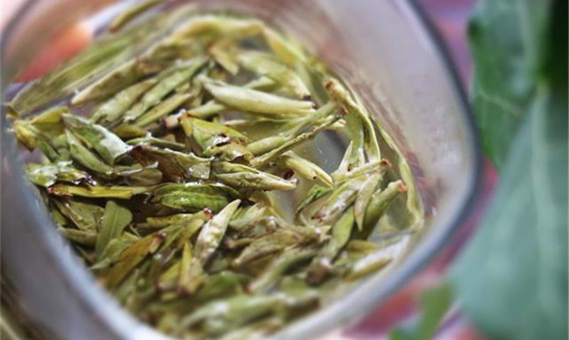 绿茶的八大养生功效，99%的人都不知道