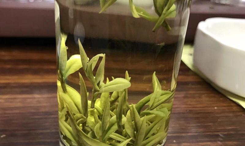 安吉白茶的饮用好处