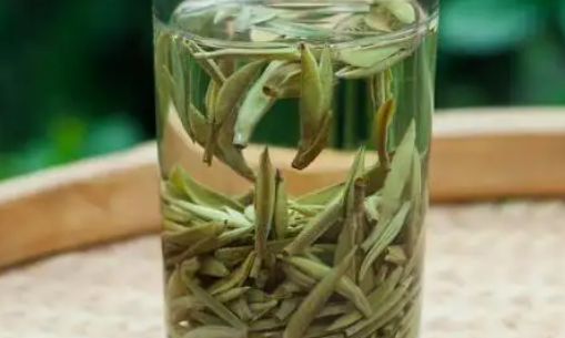 白茶的功效与作用白茶的营养价值