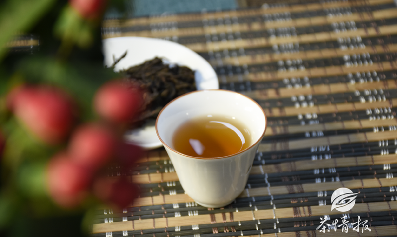 安化黑茶茶梗的作用 有梗才有料