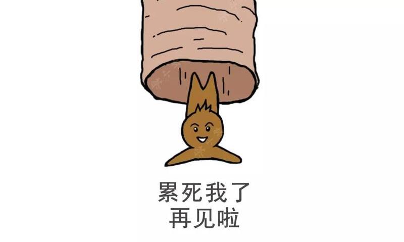 神奇的风味嗜好物质，茶咖啡碱的身体旅程