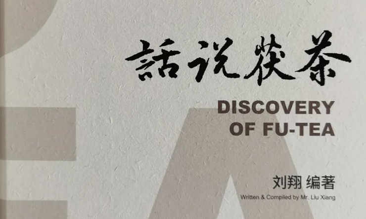 茯茶养生保健解读（十七）传统茯茶，煮茶为上饮之法