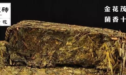 每天坚持喝茯茶,让血管畅通无阻!