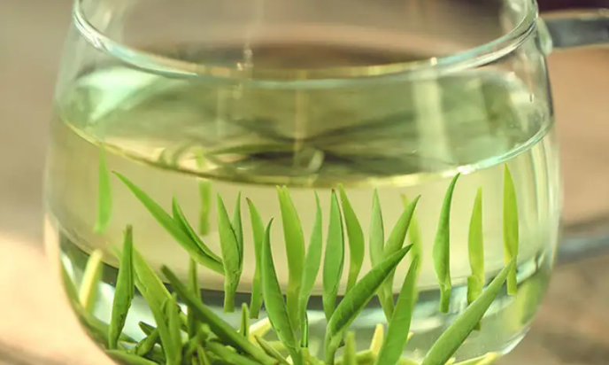 每天喝茶水对身体有什么影响