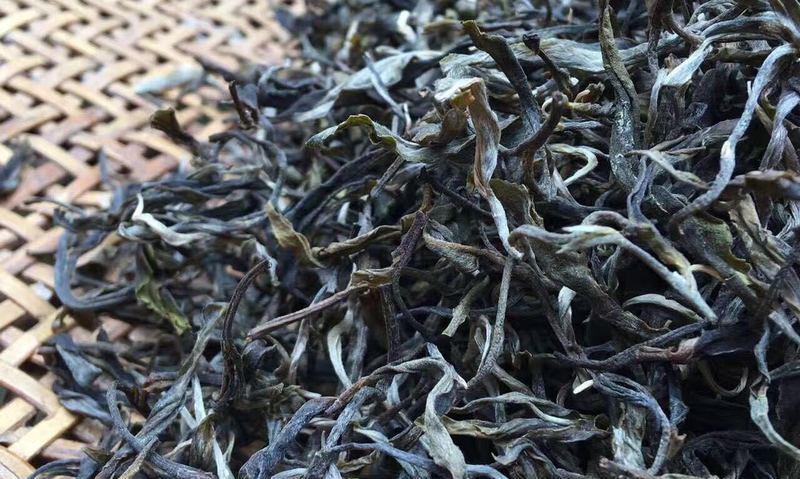 为什么新茶会“刮胃”,而熟茶、老生茶不会?