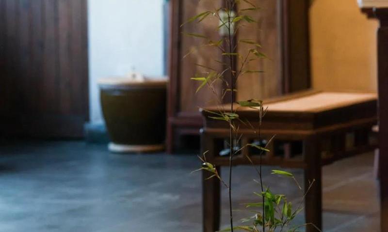 长期喝茶对肾的影响，到底是好是坏？