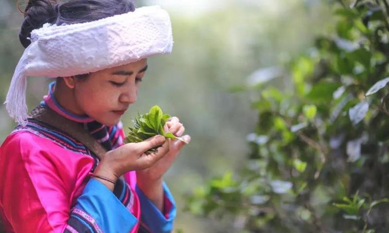 以茶入膳，好茶好膳：冬季食补从“吃茶”入手