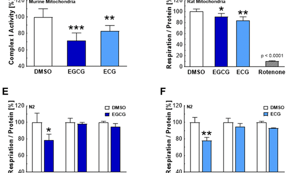 常喝绿茶为什么会延长寿命?医学专家告诉你!