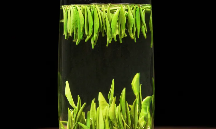 贫血的人能喝绿茶吗