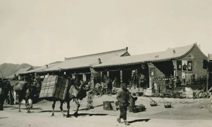 刘仲华院士:安化黑茶保健功效研究(一)黑茶发展历史溯源