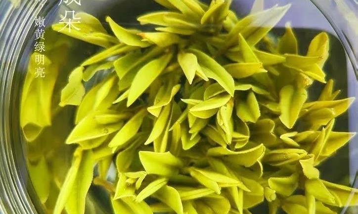 霍山黄芽入选中欧签署地理标志协定互认清单