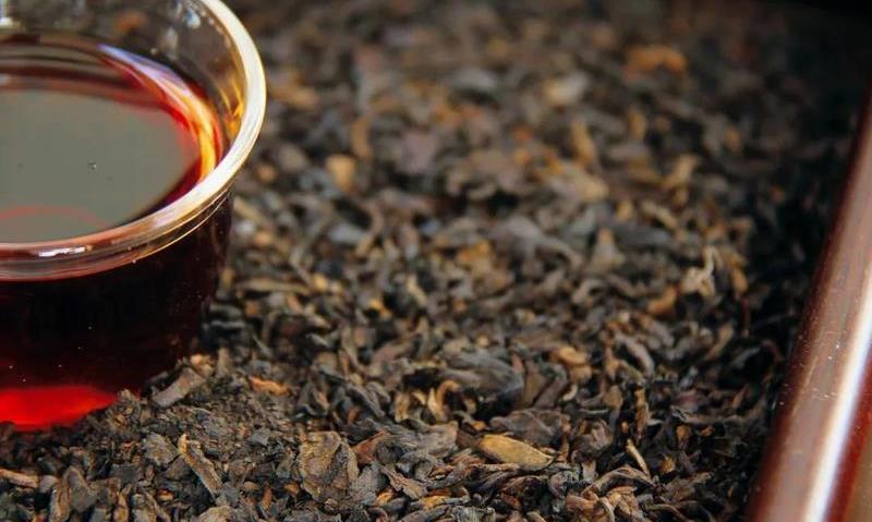 生茶与熟茶到底有哪些区别？