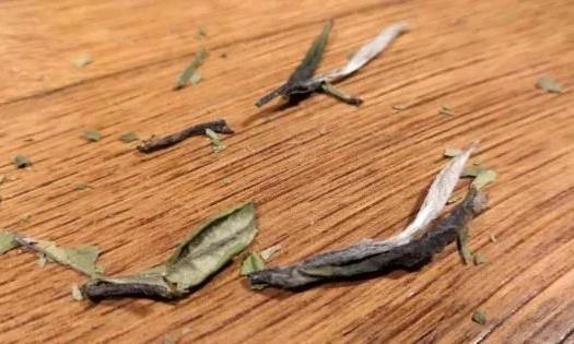 福鼎白茶知识集锦 “干度”