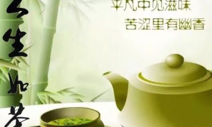 明前茶春茶的营养价值你知道多少?