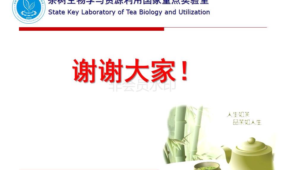 黄大茶健康功效 -- 安徽农业大学宁井铭教授