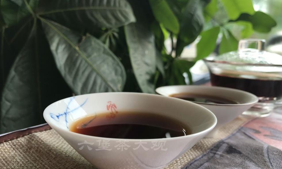 店长每天必喝的一款祛湿陈年六堡茶