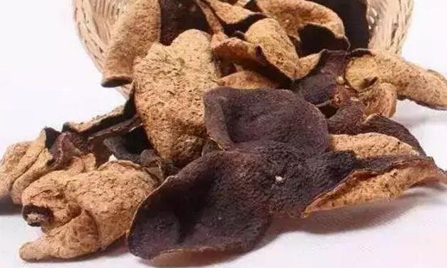 咳嗽咳痰难痊愈，陈皮这样泡，效果更好