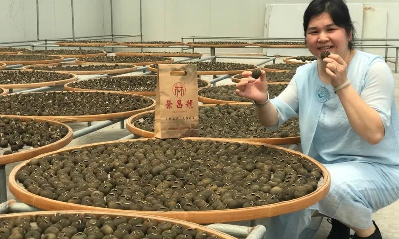 火得一塌糊涂的小青柑,你知道它的功效和作用吗?