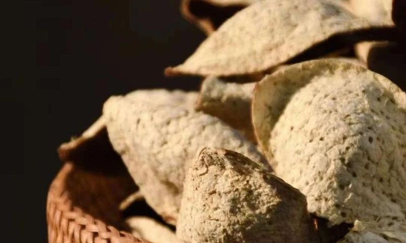 小陈皮，大作用：关于“药食同源”的陈皮，你都知道哪些？