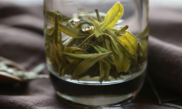 为什么夏天要喝绿茶？