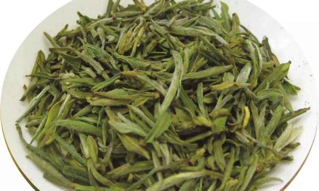 都匀毛尖的功效