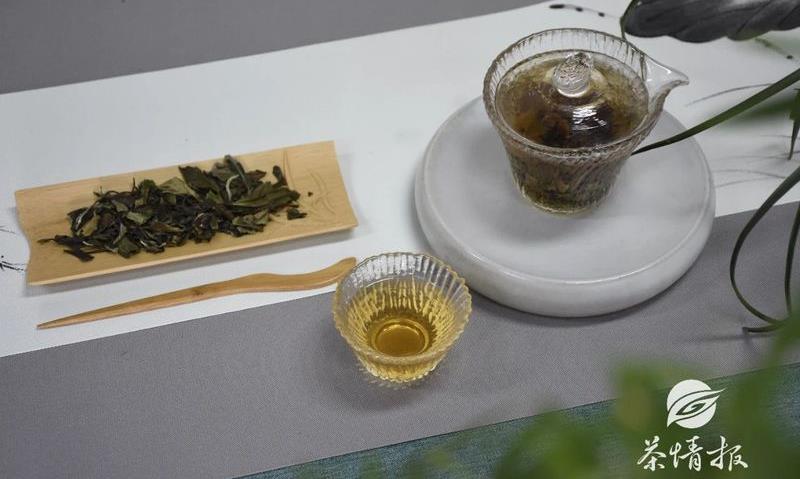人人都说白茶好，白茶到底好在哪里？