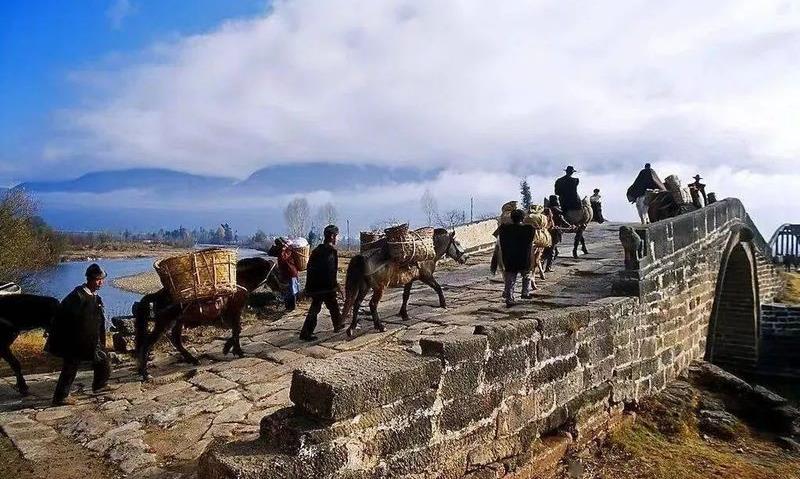 藏客——茶马古道马帮传奇(三)
