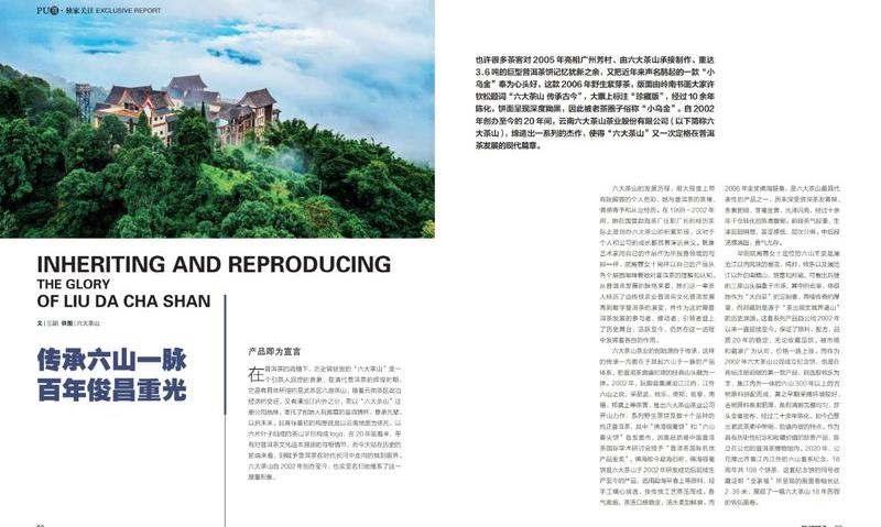 标号级：普洱茶的激荡十五年