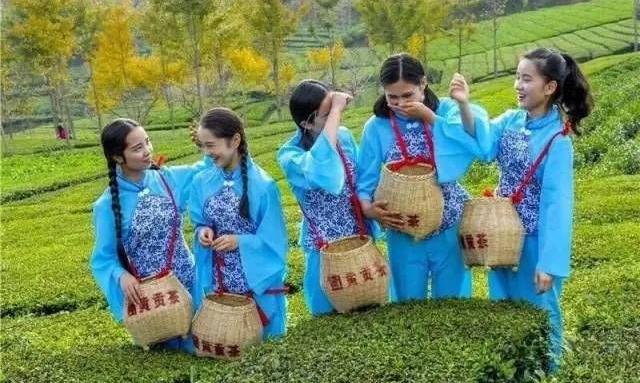 湖北英山团黄贡茶民间茶俗歌谣