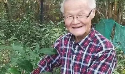 程良斌:古为今用开发安康富硒白茶(二)