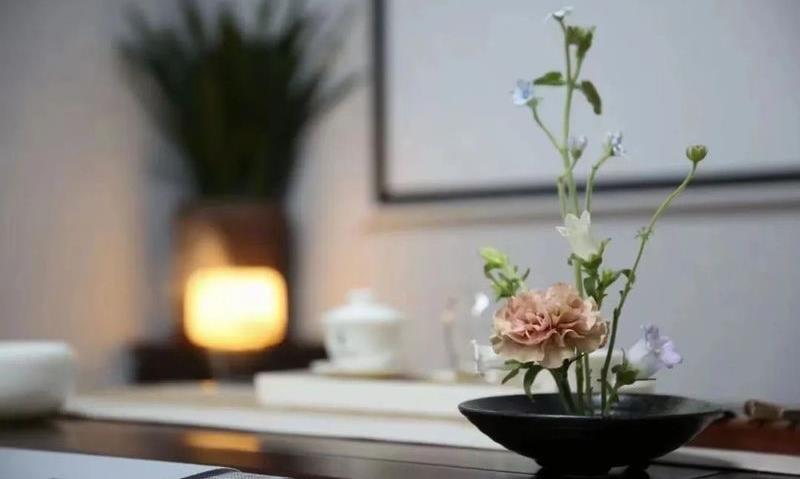 一人一室,把时光煮进茶里