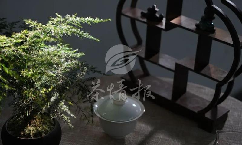 小时候不懂茶,长大了就怀念小时候