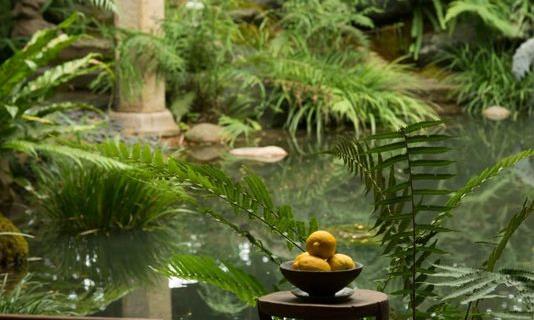 一杯茶，可洗去浮尘