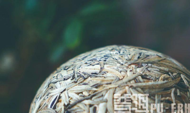 七彩的云南,有一抹“白”聊聊两种云南白茶
