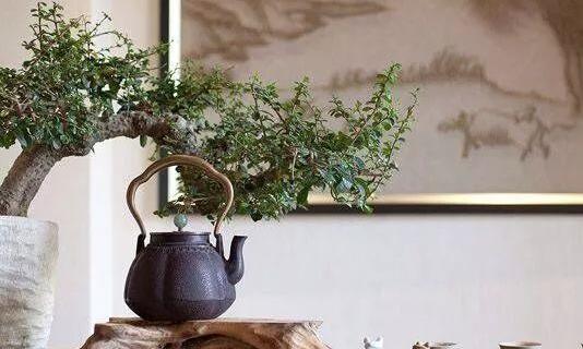 不一样的惊喜,茶道与花艺的碰撞!